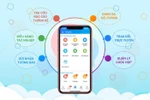 eNetViet là công cụ điều hành, truyền thông đặc thù của giáo dục Hải Phòng