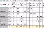 Vĩnh Phúc có nhiều điểm 10 trong kỳ thi tốt nghiệp 2021