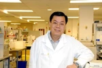 Văn bằng tiến sĩ không thích hợp cho cán bộ công chức, viên chức Nhà nước