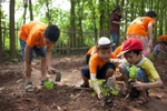 Bảo đảm an toàn khi tổ chức chăm sóc, giáo dục trẻ tại cơ sở giáo dục mầm non