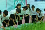 Chi tiết 5 tiêu chí thẩm định tài liệu giáo dục địa phương