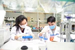Cơ chế quản lý giảng viên, đào tạo, NCKH dưới thời cố Bộ trưởng Trần Hồng Quân
