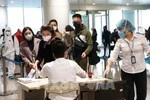 Bộ Giáo dục khuyến cáo lưu học sinh bình tĩnh, cân nhắc việc về Việt Nam