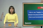 Sở Giáo dục Hà Nội nói gì về yêu cầu giáo viên thi rà soát tiếng Anh?