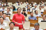 Đại biểu kiến nghị cần tuyển dụng sinh viên có bằng trung cấp, cao đẳng sư phạm