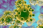 Công điện ứng phó với dịch virus corona của Bộ Giáo dục