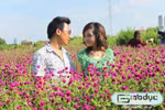 Teen Hà Nội mê mải cùng hoa Bách nhật tím một trời yêu