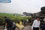 Xe tải chở thóc đè chết người đi xe đạp