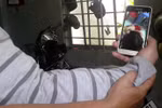 Nghiên cứu hồ sơ, xem xét khởi tố vụ án bạo hành trẻ ở Đà Nẵng