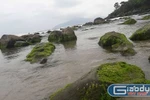 Kiến nghị không để resort 5 sao “độc chiếm” rừng và ghềnh đá Nam Ô