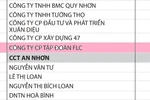 Tập đoàn FLC đứng đầu các doanh nghiệp nợ thuế ở Bình Định