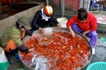 Chợ cá lớn nhất Hà Nội sôi động trước giờ ông Táo về trời