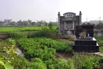 Người dân trồng rau trên mộ: “Chúng tôi cũng ăn thì mọi người sợ gì?”