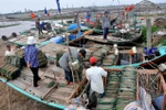 Tỉnh Nam Định khẩn trương đối phó với bão số 14