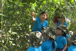 Kỹ năng sống giúp nhiều học sinh Quảng Ninh biết mặt con cá, giàn bầu