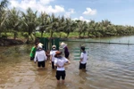 Học sinh Hải Phòng sáng tạo máy khuấy, đảo khí cho đầm nuôi thủy sản
