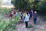 Học sinh trường Lê Lợi được thực hành nghề phổ thông ngoài thực tiễn