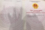 Dựng kịch hoàn hảo, lừa mẹ bạn lấy 3 tỷ đồng