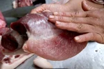 Thịt lợn siêu nạc không có hại cho sức khỏe?