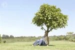 Vì sao phụ nữ sống lâu hơn nam giới?