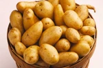 Khoai tây - Thuốc quý chữa nhiều bệnh
