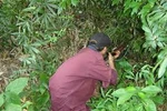 Đi săn thú bắn nhầm người