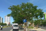 Đà Nẵng triển khai mô hình thành phố carbon thấp