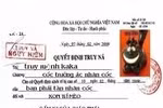 Nữ "đạo chích" trốn lệnh truy nã 