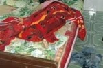 Sau quan hệ, gái "bán dâm" bị khách giết hại dã man trên giường ngủ