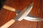 Chém chết mẹ,vợ và người giúp việc rồi trốn ra nước ngoài