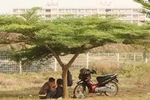 Đang tình tứ, đôi nam nữ bị dí dao vào cổ