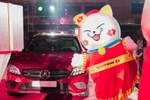 Techcombank “chơi lớn” tri ân khách hàng quà “Mèo Đại Cát” trị giá đến 100 tỷ