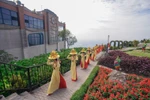 Tây Ninh - điểm đến hành hương dịp đầu xuân hàng đầu Nam Bộ