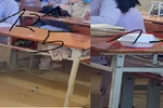 Cấm HS mang, sử dụng đồ ăn trong nhà trường: chưa phải là giáo dục tích cực