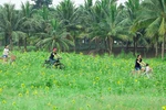 Ecopark và hành trình bền bỉ kiến tạo “gia tài” xúc cảm