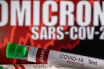 Việt Nam ghi nhận biến thể phụ thế hệ thứ 2 của Omicron lây lan rất nhanh