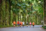Trải nghiệm độc đáo tại cung đường Ecopark Marathon 2023