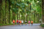 Trải nghiệm độc đáo tại cung đường Ecopark Marathon 2023