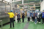 SV ngành Công nghệ thực phẩm ĐH KHTN trải nghiệm thực tế tại nhà máy Number One
