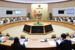 Chính phủ thống nhất nâng thời hạn thị thực điện tử