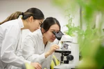 Vinschool công bố Chương trình Dự bị Đại học NCUK - Vinschool