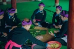 Sa Pa – Điểm du xuân lý tưởng dịp Tết Nguyên đán Quý Mão