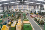 Kết thúc quý III, GEE ghi nhận 663,2 tỷ đồng lợi nhuận trước thuế hợp nhất