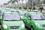 Khó khăn chồng chất, Mai Linh giải thể công ty con