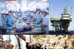 DNNN phải ký hợp đồng thuê đất nếu cổ phần hóa