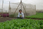 GS Nguyễn Lân Dũng vẫn không tin có rau an toàn trong siêu thị
