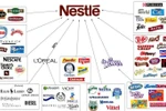Nestlé Việt Nam: 18 năm hoạt động, 14 năm lỗ và những con số bất ngờ