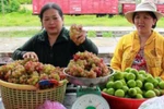 Độn đá vào nho Ninh Thuận, người bán rong kiếm chục triệu/tháng