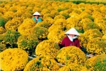 Đặc sắc lễ hội hoa xuân Sa Đéc 2013 