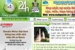 LS Triển: Cần khởi kiện ra tòa các trang tin "chôm chỉa" như kiểu 24h